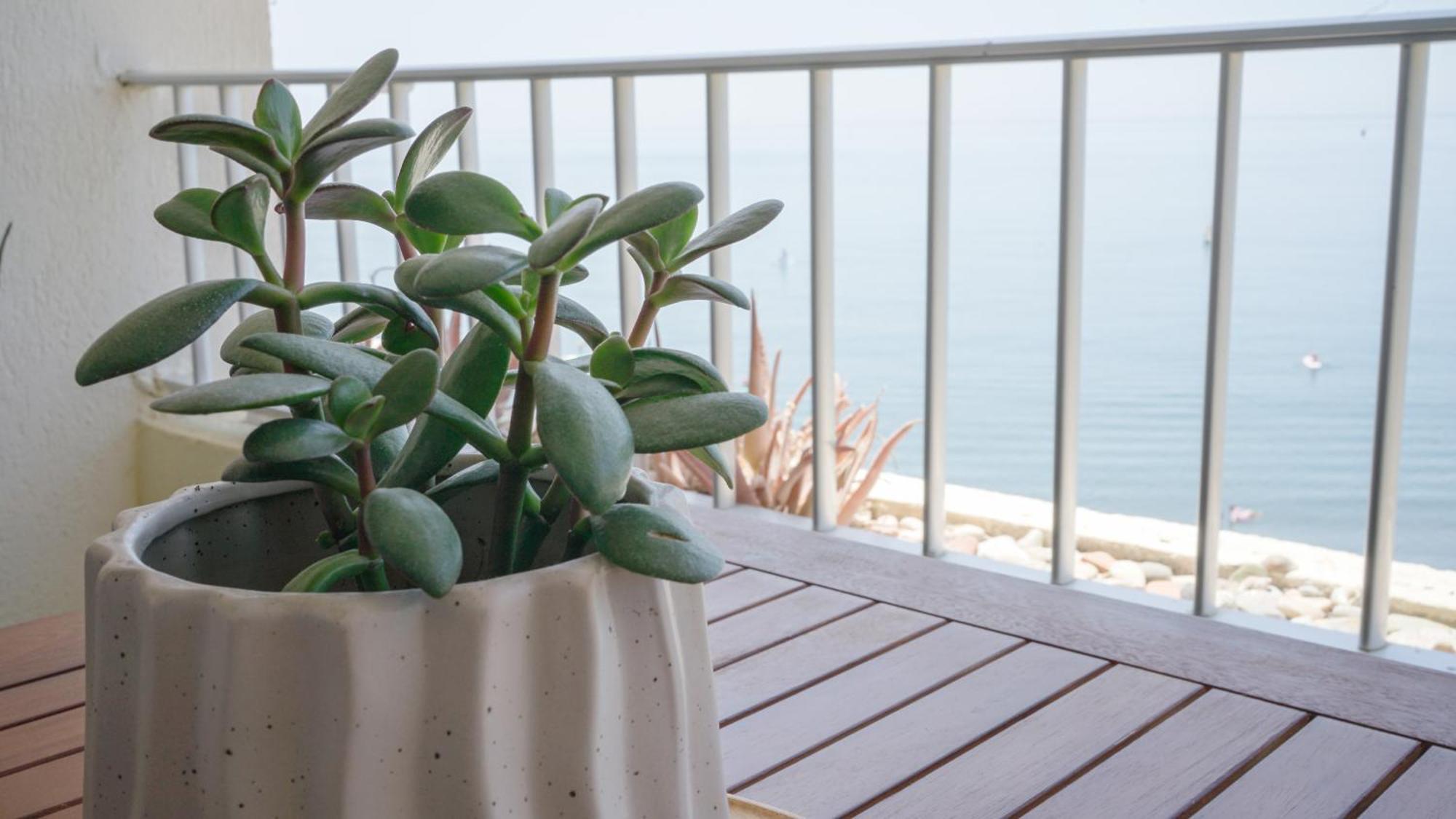 Apartamento Brisa Del Mar 阿尔姆尼卡 外观 照片